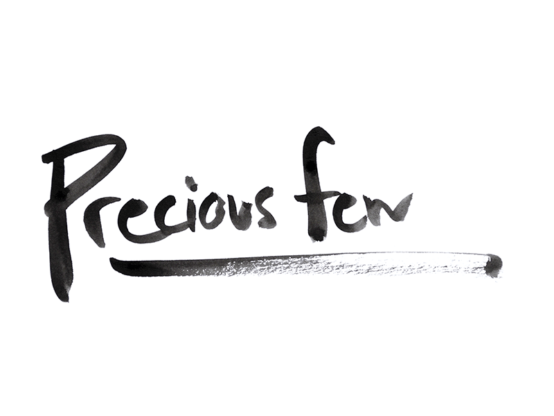 Precious Few branding brush handdrawn logo