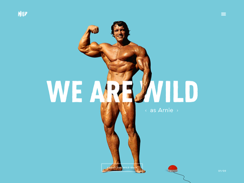 WILD arnie balloon grizzly slide slider slideshow website wild