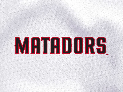 CSUN Matadors Type