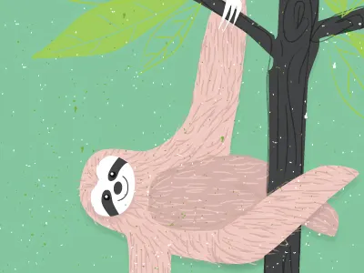 Sloth illustration sloth