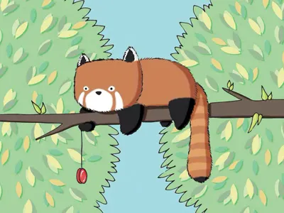 Red Panda animal cute illustration print red panda yoyo