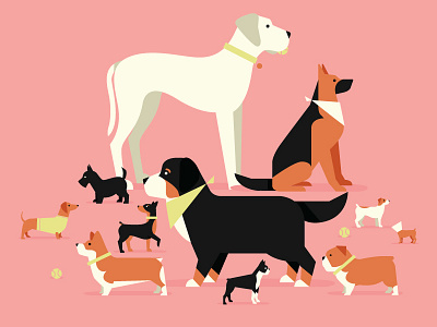 poster (work in progress) bernese mountain dog boston terrier bulldog corgi dachshund dogs flat german shepherd great dane jack russell min pin vector