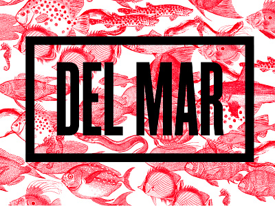 DEL MAR Zine cont. fish pattern typography zine