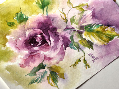 Purple rose bouquets flowers roses watercolor