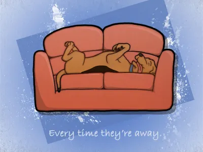 Every time they're away. couch dog sleep