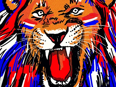 HUP HOLLAND HUP eesteren football game holland lion man0uk manouk netherlands van wk