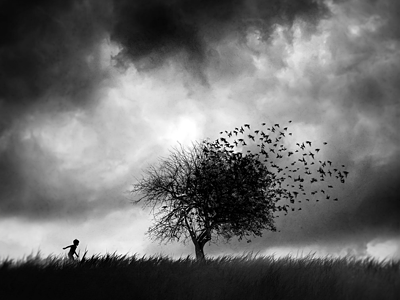 Illusion d'un printemps concept creation creative idea illusion photography printemps spring