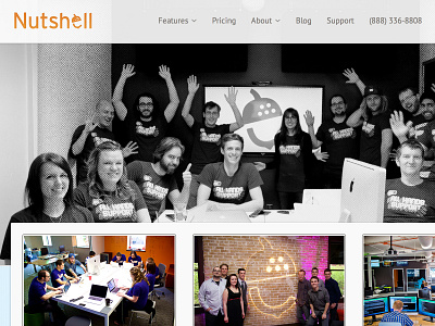 Nutshell web design branding graphic design logo design texture ui design web design