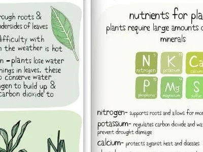 Botany botany chemistry food guide illustrated of science the to wine