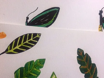 Tropics for Felin & Flora butterfly felin flora jungle leaf leaves painted plant rainforest tropical tropics watercolor