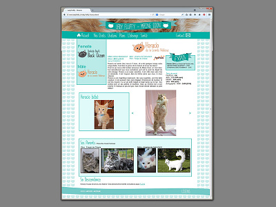 webdesign - cattery*3 adobe muse breeding cat contact page maine coon web webdesign