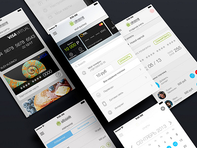 Finance Ui app bank card icon ios ios7 la pay sidebar ui ux wallpapper