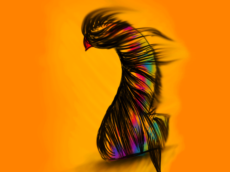 Typography Phoenix animated gif bird gif phoenix text type typography