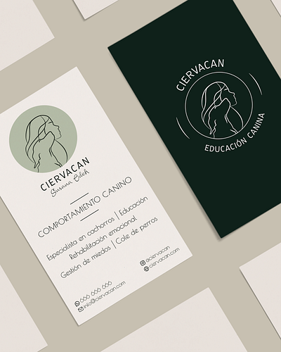 Rebranding for Ciervacan branding feed design graphic design logo social media design