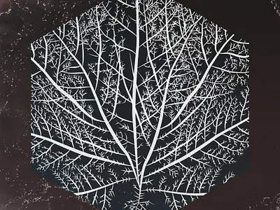 Visual Identity fo Kaloka Fest 2023 branding editorial design graphic design logo poster design