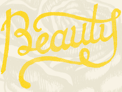 Beauty beauty illustration lettering yellow