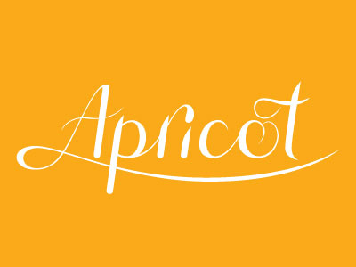 Apricot lettering typography