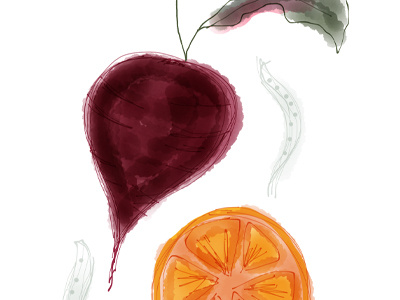 Fruit & Veg combos beets fennel fruit illustration orange vegetables