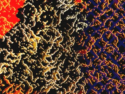 Molten Genetics. experimental future gold pattern