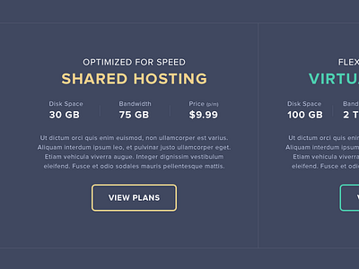 Hosting Detail clean colourful host hosting minimal server web