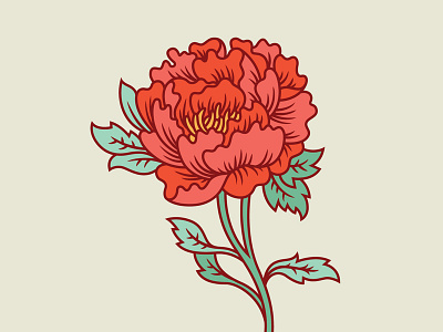 Peony flora floral flower illustration modify ink nature peony