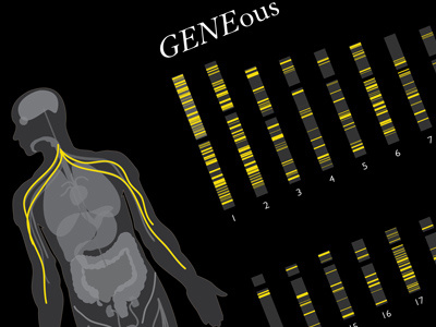 GENEous: Navigating Our Genetic Mutations application dna genetic mutation infographics information design interactive