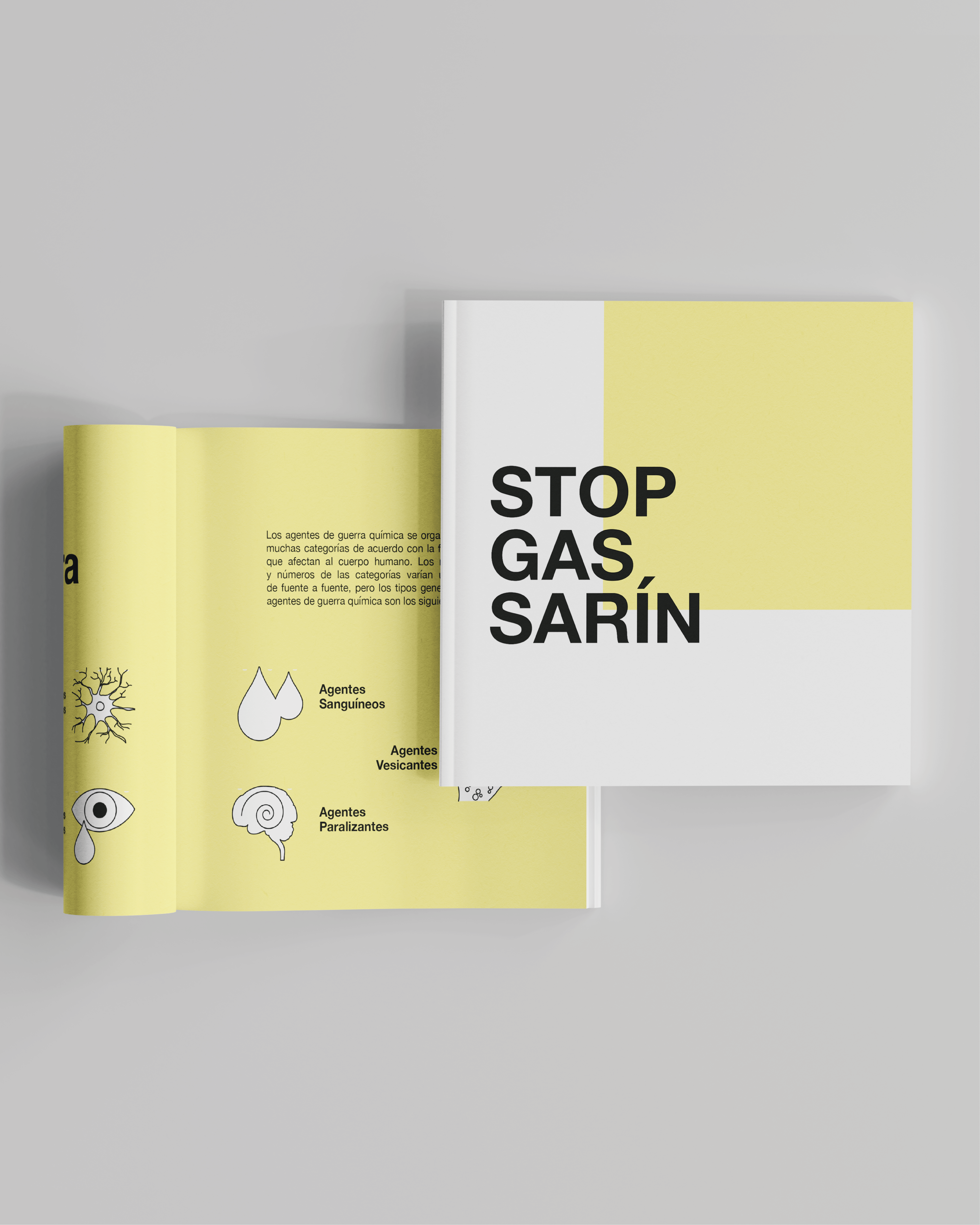 Example of Editorial Design