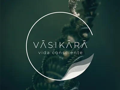 Vasikara branding graphic design logo