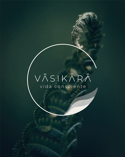 Vasikara branding graphic design logo