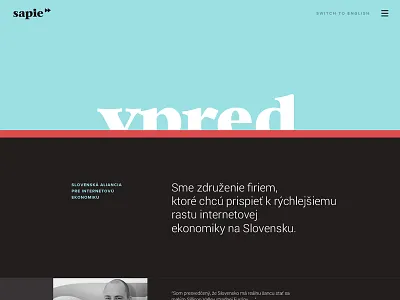 WIP of web + indentity for Slovak Alliance for Internet economy dark landingpage minimal page simple typography webdesign