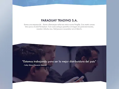 Parallax Website 100 width images blue clean low poly minimal organic lines parallax website