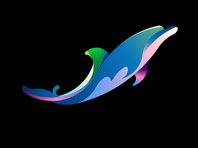 Dolphin dolphin drawing illustration