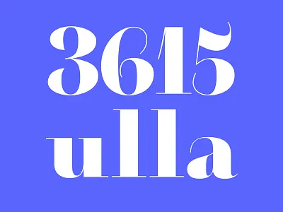 3615 Didot bold didot type design