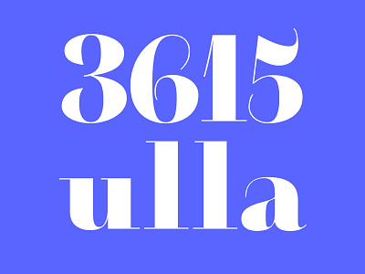 3615 Didot bold didot type design