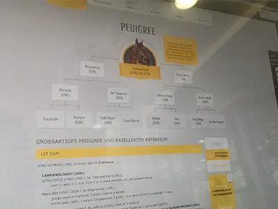 Campanologist - Pedigree (Bloodline) animal bloodline fast goal horse jockey pedigree race ride speed win