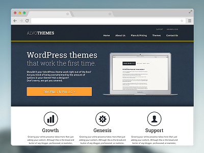_____ Themes design genesis framework interface photoshop responsive ui ux web design