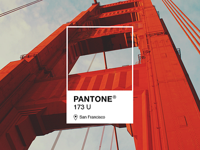 Pantone 173 U artwork california golden gate orange pantone photography playoff rebound san francisco usa