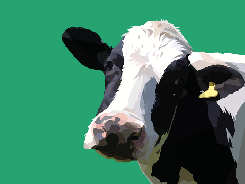 Friesian animal colourful cow farm illustration rural vector