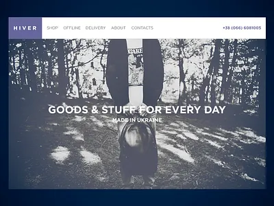 HIVER Store concept design redesign store web