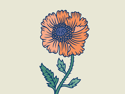 Poppy flora floral flower illustration modify ink nature poppy