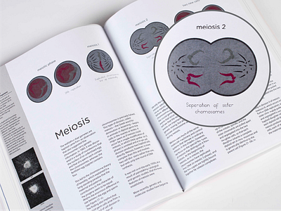 Biology Spread1 biology cell spread textbook typography