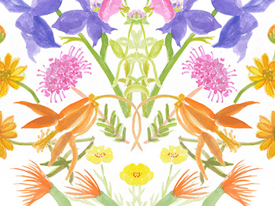 Day 193 botanical flowers illustration