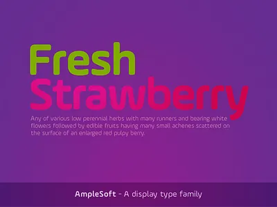 AmpleSoft - A display type family aakash ample design soft soneri soneritype type typeface