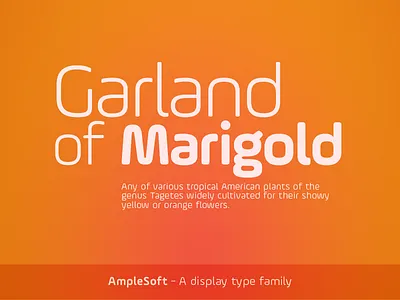 AmpleSoft - A display type family aakash ample design soft soneri soneritype type typeface
