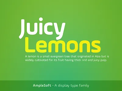 AmpleSoft - A display type family aakash ample design soft soneri soneritype type typeface