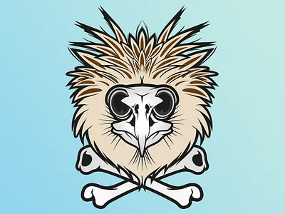 Phillipean Eagle Skull almost animal bones eagle endangered extinct feathers illustration philipean skull species vector