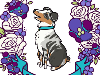 Sterling austrailian cattle dog dog floral flowers illustration orchid rose