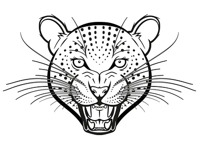 Snow Leopard Bw almost angry endangered extinct illustration leopard snow species vector whiskers