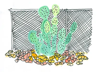 Day 195 cacti cactus fence garden illustration
