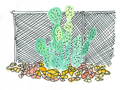 Day 195 cacti cactus fence garden illustration